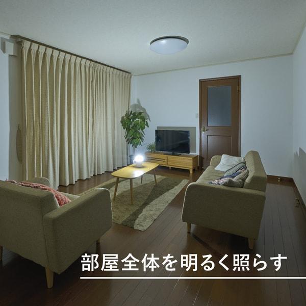        Panasonic Bf Bl40k W [large Lantern]