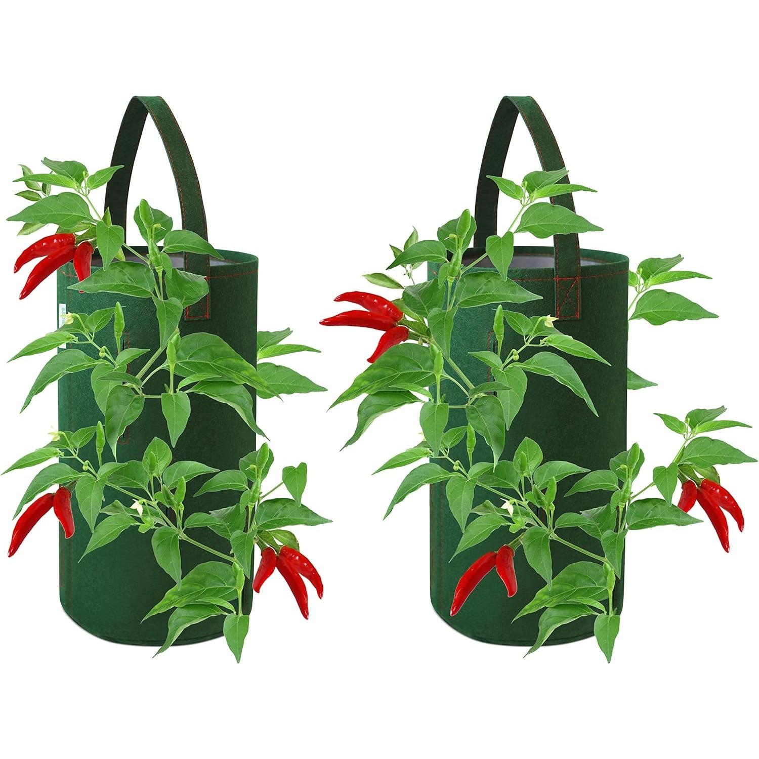 

Hanging Aeration Planter for Hot Peppers, Strawberries and Herbs, Eight Holes Per Planter зелёный