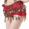 Glitter Sequins Belly Dance Waist Chain Hollow Bellydance Coins Belt Hip Scarf Skirt  Ladies