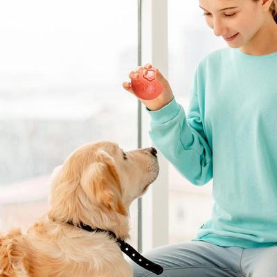 Interactive Dog Ball Safe Dog Ball Interactive Dog Toy Dog Interactive Toys Dog Ball Tennis Balls For Dogs Outdoor Home Large