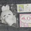 Puppen & Kuscheltiere – Kuscheltiere von Film- & Trickfiguren