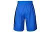 Nike Sports Shorts Men's Blue Moderate CD9559-480