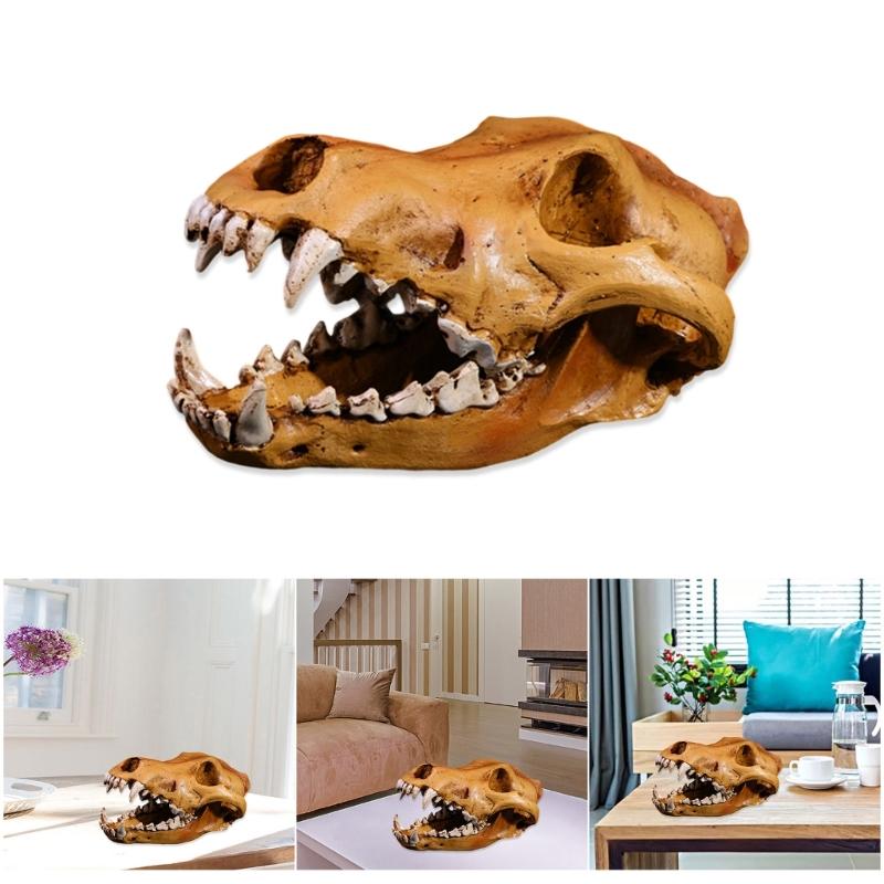 Realistic Wolf Skull Skeleton Resins Model Replicas for Home Decors Museums Display Educational Anatomy Art Collections
