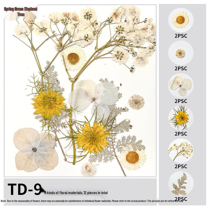 Handmade Pressed Flower Bookmark and Epoxy Sticker Pack with Real Leaf and Plant Specimens for DIY Face Makeup.