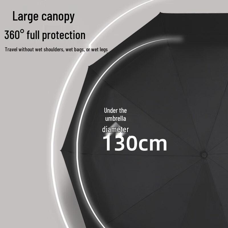 Tianwei Automatic Windproof Double-Layer Umbrella