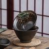 Japanese Cold Soba Bowl B & B Restaurant Fine Rice Bowl Cuisine Miso Soup Bowl Matcha Bowl