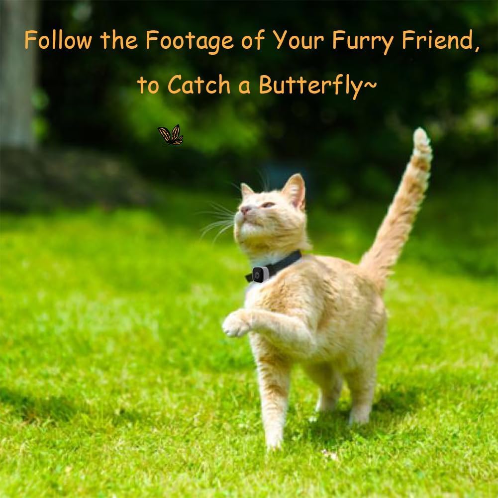 Cat Camera Collar, No WiFi Needed No APP,Cat Collar Camera with Video Record, Body Camera for Cat/Dog Recording,Camera for Cat Collar,Pet Collar