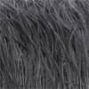 Feather1 Bundle Piume di Struzzo Naturali Filo Colorato 10-15/15-18CM Piumaggio Soffice Per Abiti Borsa Decorazione Artigianato Cucito