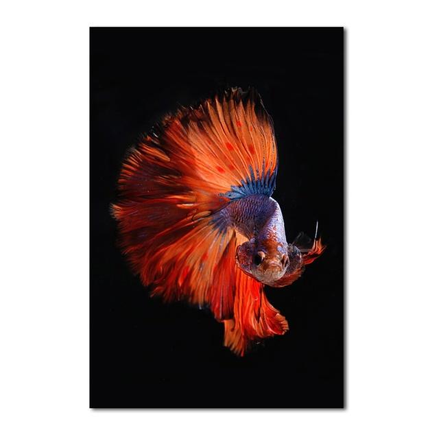 Meereslebewesen, roter Fisch und transparente blaue Qualle, heimisches Zierhaustier für modernes Wohnzimmer, Tierhandlung, Cuadros-Dekoration