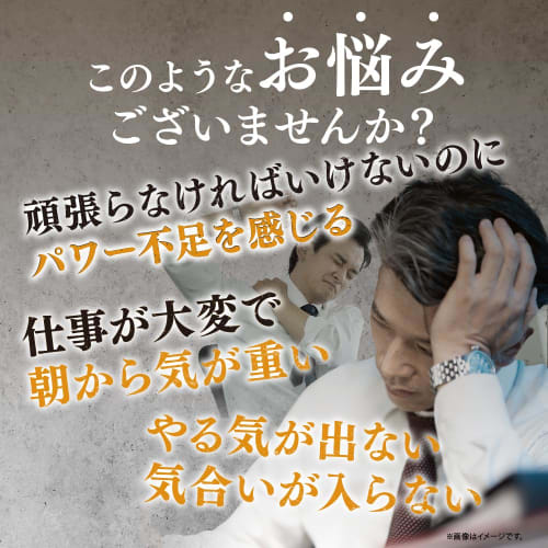 [Yazuya Official] Garlic Clam [Garlic, Egg Yolk, Clam Supplement, Ornithine, Made In Japan] 62 Tablets/bag