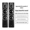 HiVi D60HT 7.0 Channel Home Theater HIFI Speaker System (CN version)