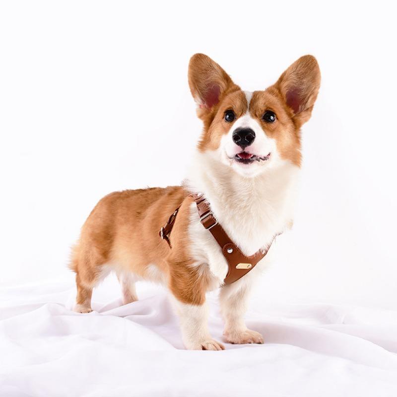 Loudik Soft Leather Dog Chest Strap Pet Leash Set Walking Leash Puppy Strap Small and Medium Dog Out Accessories Wholesale