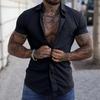 Men Summer Shirt Turn-down Collar Short Sleeves Solid Color Single-breasted Thin Slim Fit Buttons Soft Breathable Formal Business Style Sports Top
