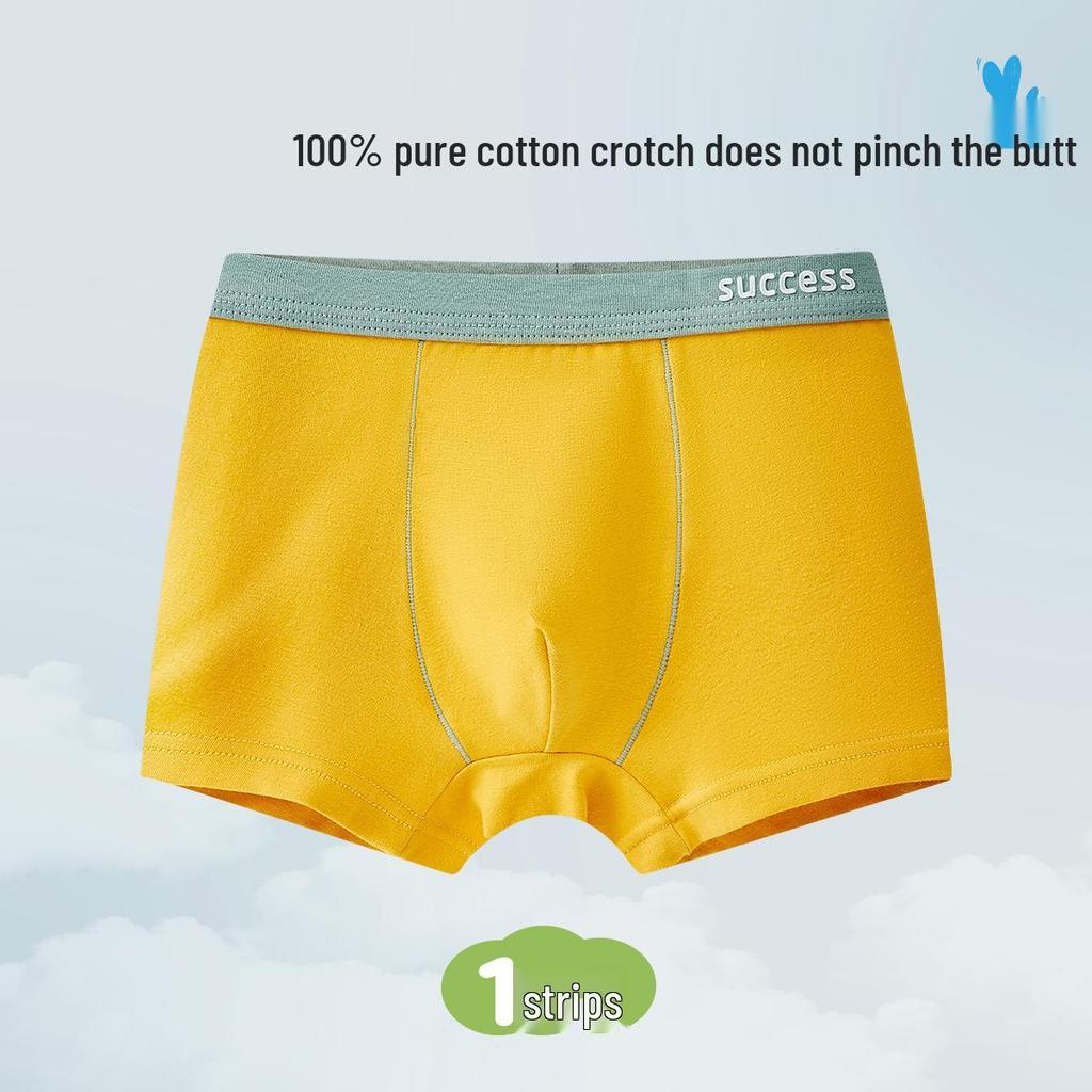 Boys' Pure Cotton Class A Underwear - Teen & Large Sizes, Full Cotton Crotch, Antibacterial Boxer Briefs
