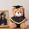 Personalized Graduation Bear Doll 2026 for Her Soft Plush Teddy with Embroidered Gown