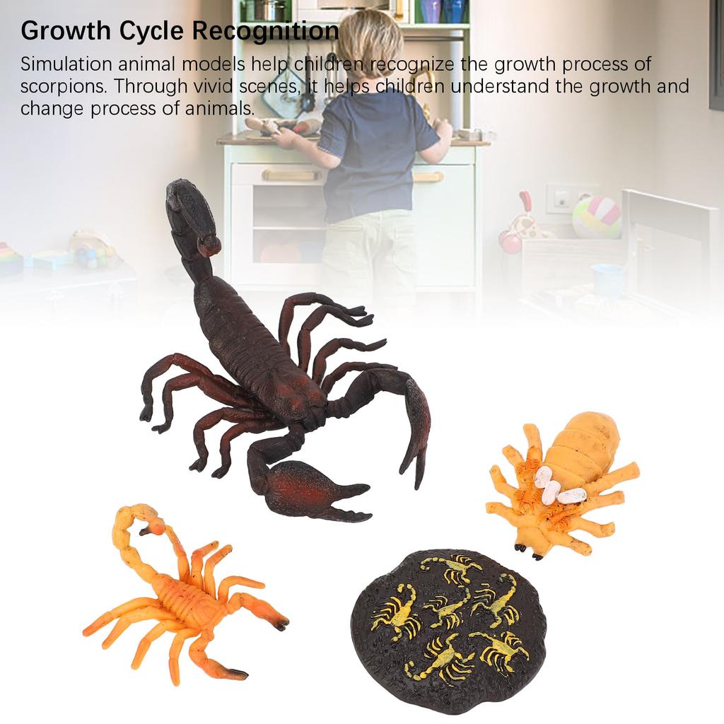 4pcs Simulation Animal Model Scorpion Growth Ornament Children Cognitive Growth Cycle Animal Toys for Children