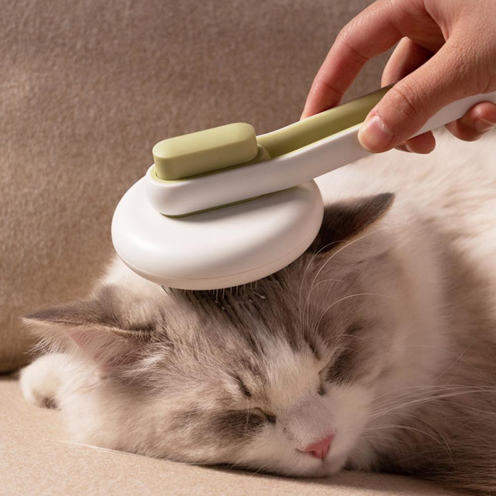 brush for medium haired cat