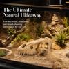 Kreative 3D-Schädel-Reptilienhöhle Ausgeschnittenes Reptilien-Kletterunterschlupf Aquarien-Enthusiasten