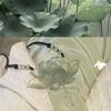 Nuova collana con ciondolo loto giada ghiacciata stile antico cinese Accessori per costumi antichi Hanfu per ragazza