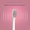 Shangheng Sonic Electric Toothbrush for Adults CN Plug (adapter Included)