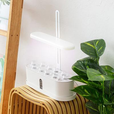 10 Potten Hydroponisch Kweeksysteem, Binnen Kruidentuin Kit met Groeilamp, Slimme Tuin voor Thuis