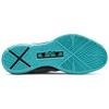 New Nike LeBron X Re Entry 541100-008