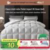 Home Textiles Polish Imported 95% Down Winter Quilt