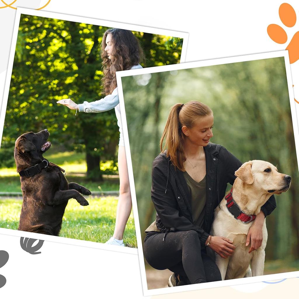 4 Pack Medium Basic Dog Collars Adjustable Dog Collars for Large Breakaway Dogs Collar Classic Pet Dogs Collar with Quick Release Buckle for Walking