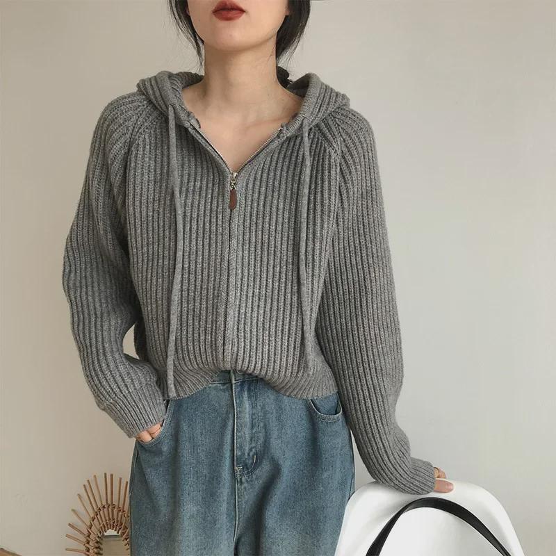 Korean College-Style Hooded Knitted Cardigan: Women's Loose Fit, Lazy Spring & Autumn Sweater Jacket