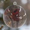 Kristallglas-Ornament-Set „Vögel der Natur“ – Klare Weihnachtskugeln zum Aufhängen am Weihnachtsbaum für festliche Heimdekoration
