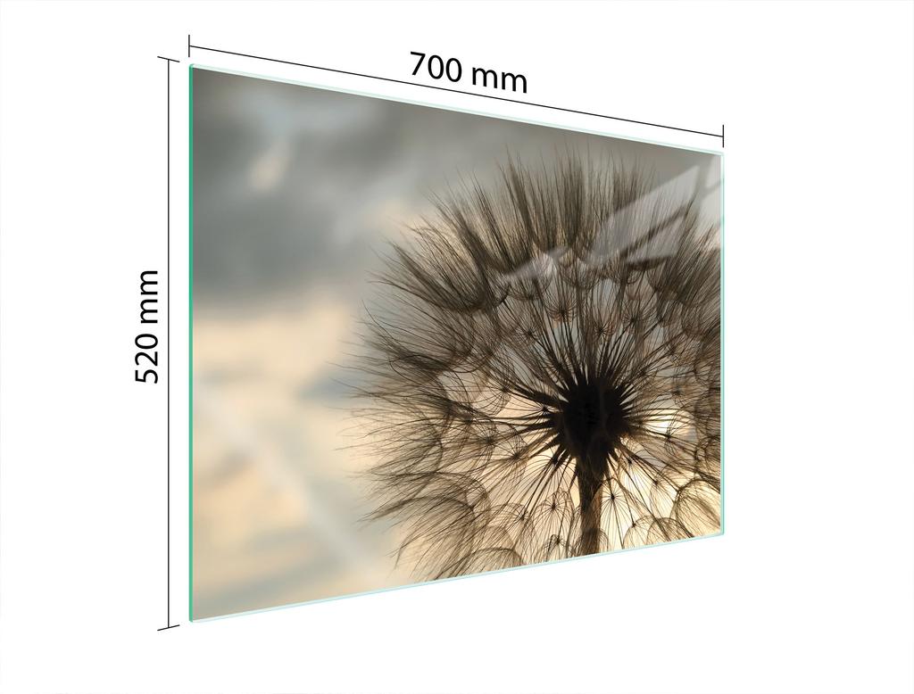 GLAS-KOCHFELD-SCHUTZPLATTE 70x52 BLUME