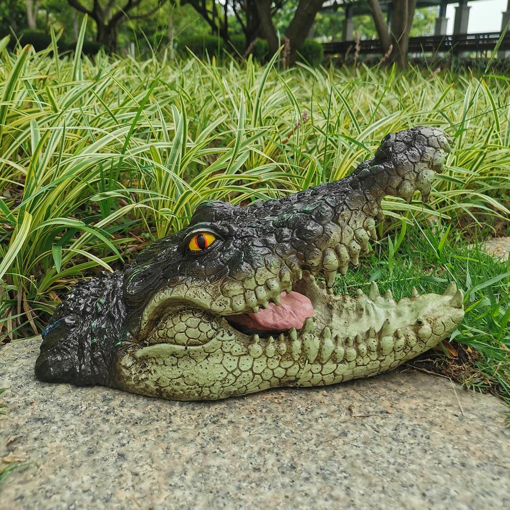 Alligator Head Decoy Pond Float Garden Floating Ornament, UV Protected Exterior to the