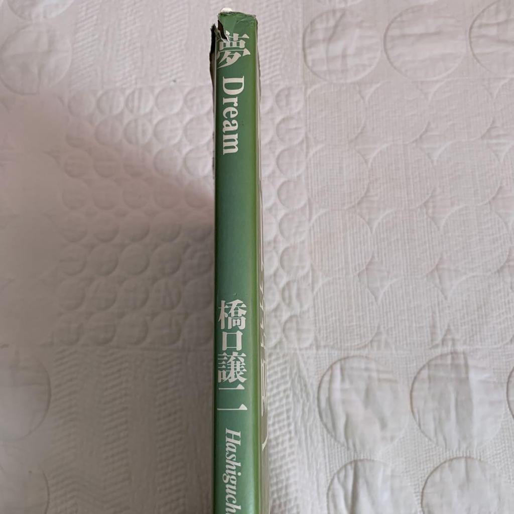 [USED] Joji Hashiguchi Dream Art Book