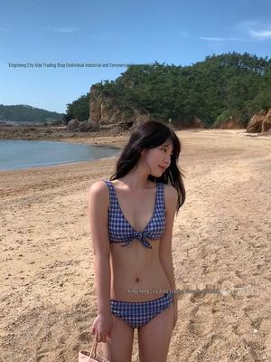 2026 Women's Sexy Deep V Three-Piece Swimwear: Japanese & Korean Bikini with Big Bust and Skirt Style