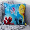 Cartoon S-Sesame-S-Street Pillow Cover Design Cushion Cover Decor Holiday Decorati