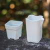Self Watering Transparent Nursery Pots Mini Planters for  Seeds Herb Growing Home or Classroom
