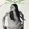 Vintage 1991 Dinosaur JR Green Mind Tour Size L 90s Single Stitch Shirt REPRINT