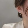 Elegant Metal Pearl Earrings for Women - Autumn/Winter Niche Design, Light Luxury, Cold Style