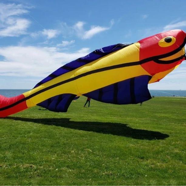 

Goldfish Soft High-end Large Kite - Easy to Fly Breeze Design