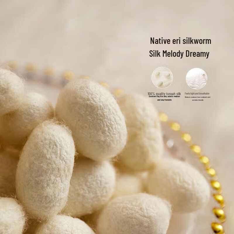 Mercury Home 100% Silk Antibacterial All-Season Quilt