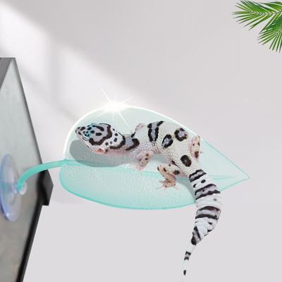 זוחלים – טרריום לזוחלים