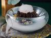 Transparent Glass Bowl with Side Opening Dry Ice Bowl Creative Cuisine Tableware Special Restaurant Salad ceramic bowl set