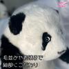 Realistic Panda Plush Toy, Perfect for Birthdays, Anniversaries, Presents, Children's Day, Healing, Smiles, Encouragement, Japanese Flowers, Fur Fur,