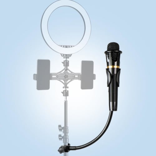 Alasum Studio Condenser Microphone Stand, Mike Microphone Rack, Microphone Arm Desk Mount, Microphone Storage Stand with Rotating Microphone Clamp, Me