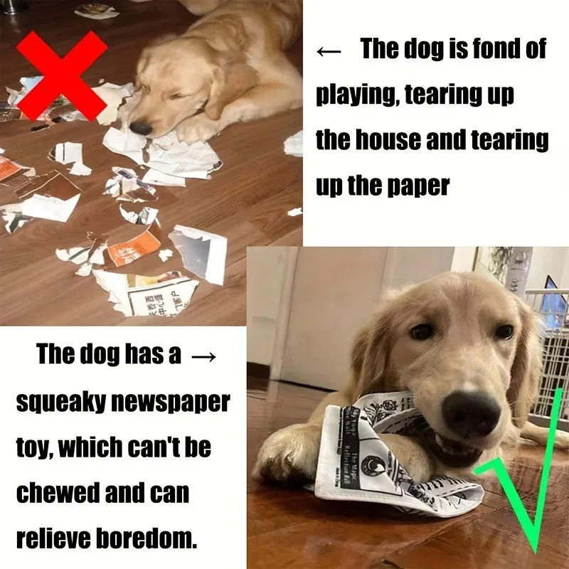 1PC Squeaky Plush Dog Toys, Pet Chew Toys for Small Breeds and Puppies, Fun for Indoor and Outdoor