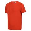 Regatta Herren Ambulo T-Shirt