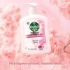 Dettol Antiseptic Hand Wash