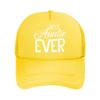 Best Auntie Ever Family Love Art Mesh Baseball Cap Casual Hat Outdoor  For Womens Unisex FeUnisex