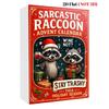 Sarcastic Raccoon Christmas Advent Calendar with 24 2D Flat Raccoon Ornaments Holiday Gift for Friends Raccoon Lovers
