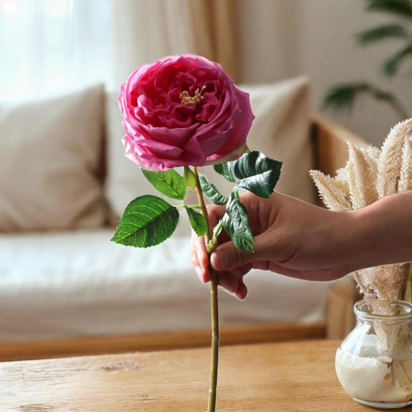 

Длинный стебель для любимых Deep Purple